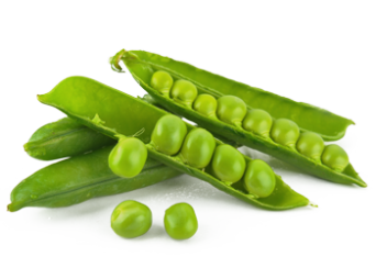 гороховая мука купить