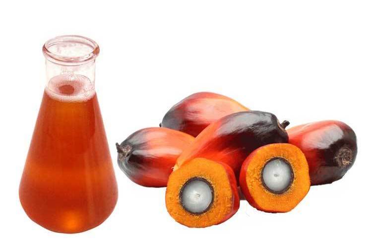 купить пальмовое масло оптом, пальмовое масло оптом, пальмовое масло оптом москва, цена пальмового масла оптом